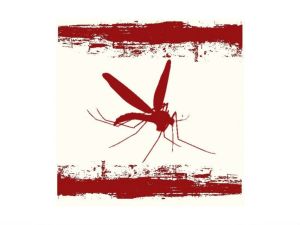 today-world-malaria-day-2012_2542012